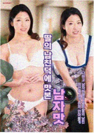 年代电视剧白露为霜